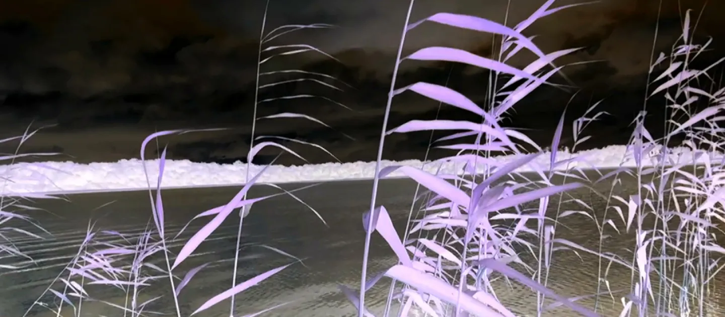 Shipsides and Beggs Projects, Cola Lough Dream, 2020. Video Still, Another Fine Mess. Credit: Shipsides and Beggs Projects.